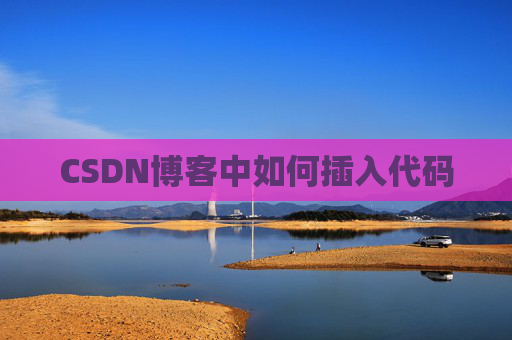 CSDN博客中如何插入代码
